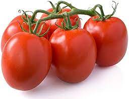 Tomato Roma