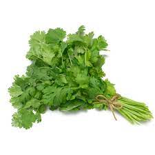 Cilantro Bundle