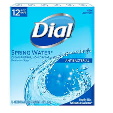 Dial Spring Water Antibacterial Bar Soap 4oz x 12