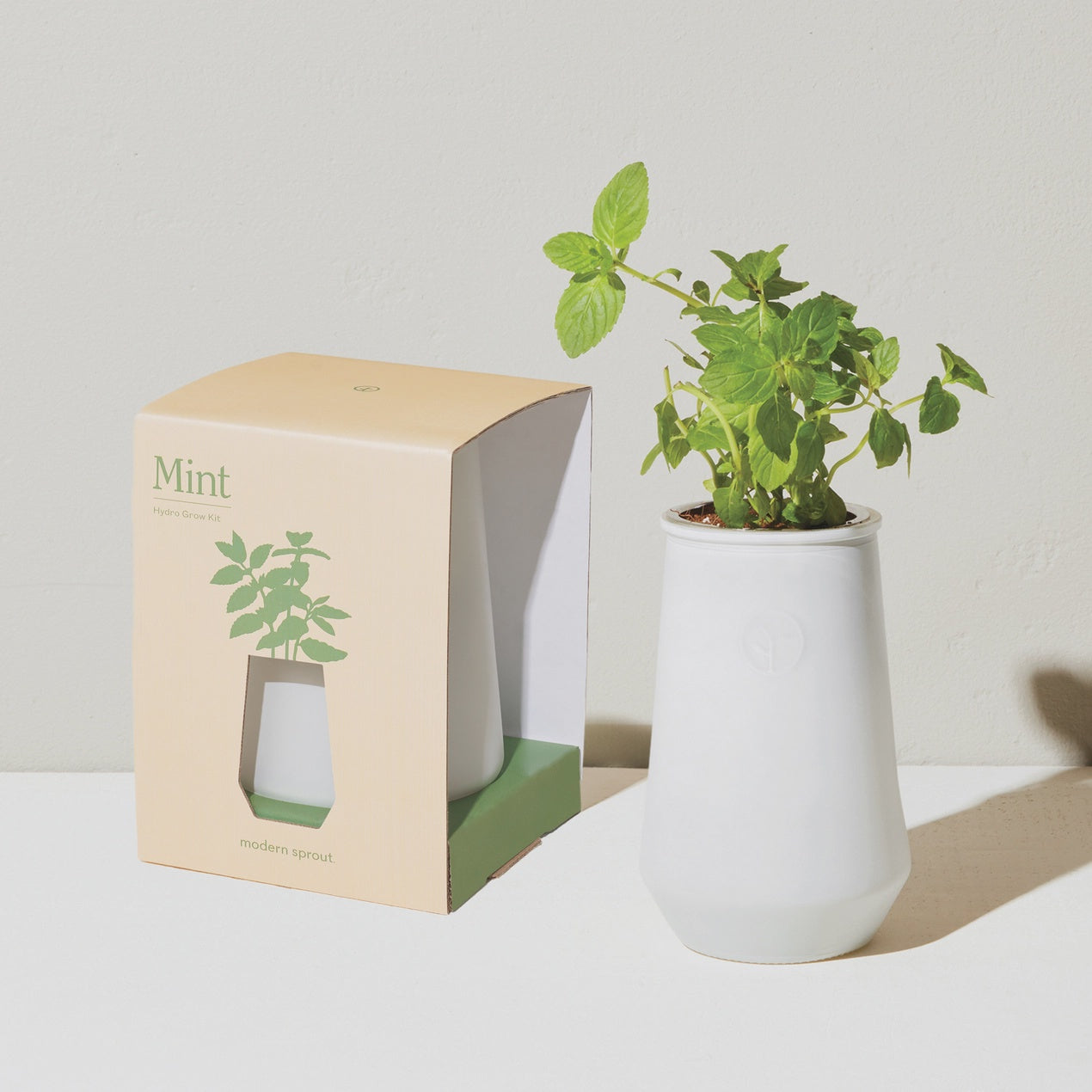 Tapered Tumbler Indoor Grow Kit , Mint