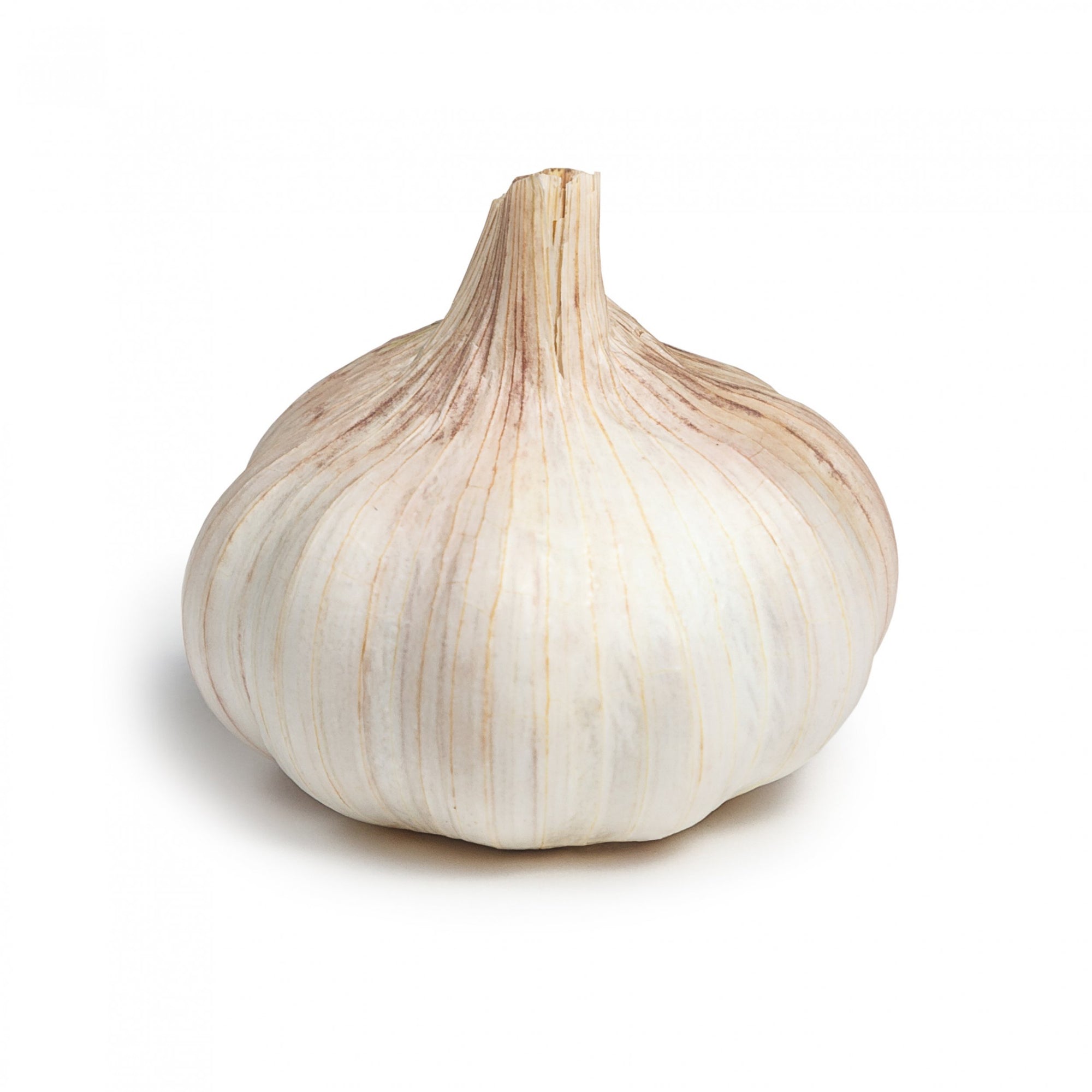 Garlic 4pk