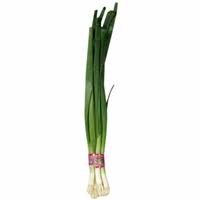 Onion Green Bunch