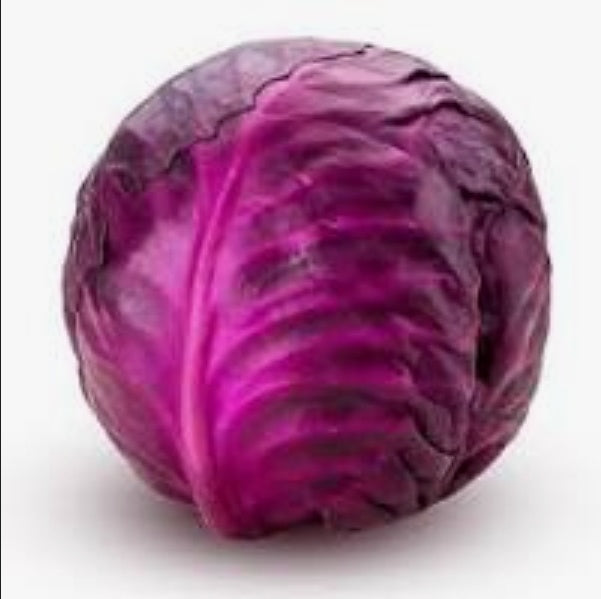 Cabbage Red