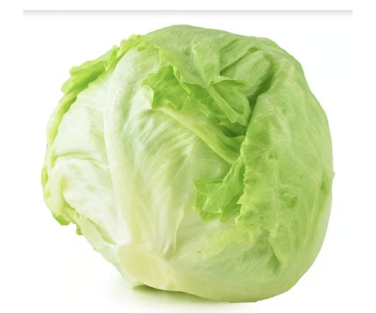 Lettuce Iceberg Head