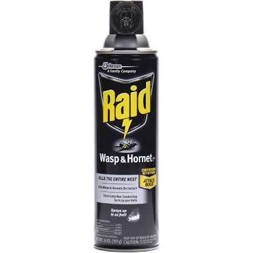 Raid Wasp & Hornet Spray 14oz