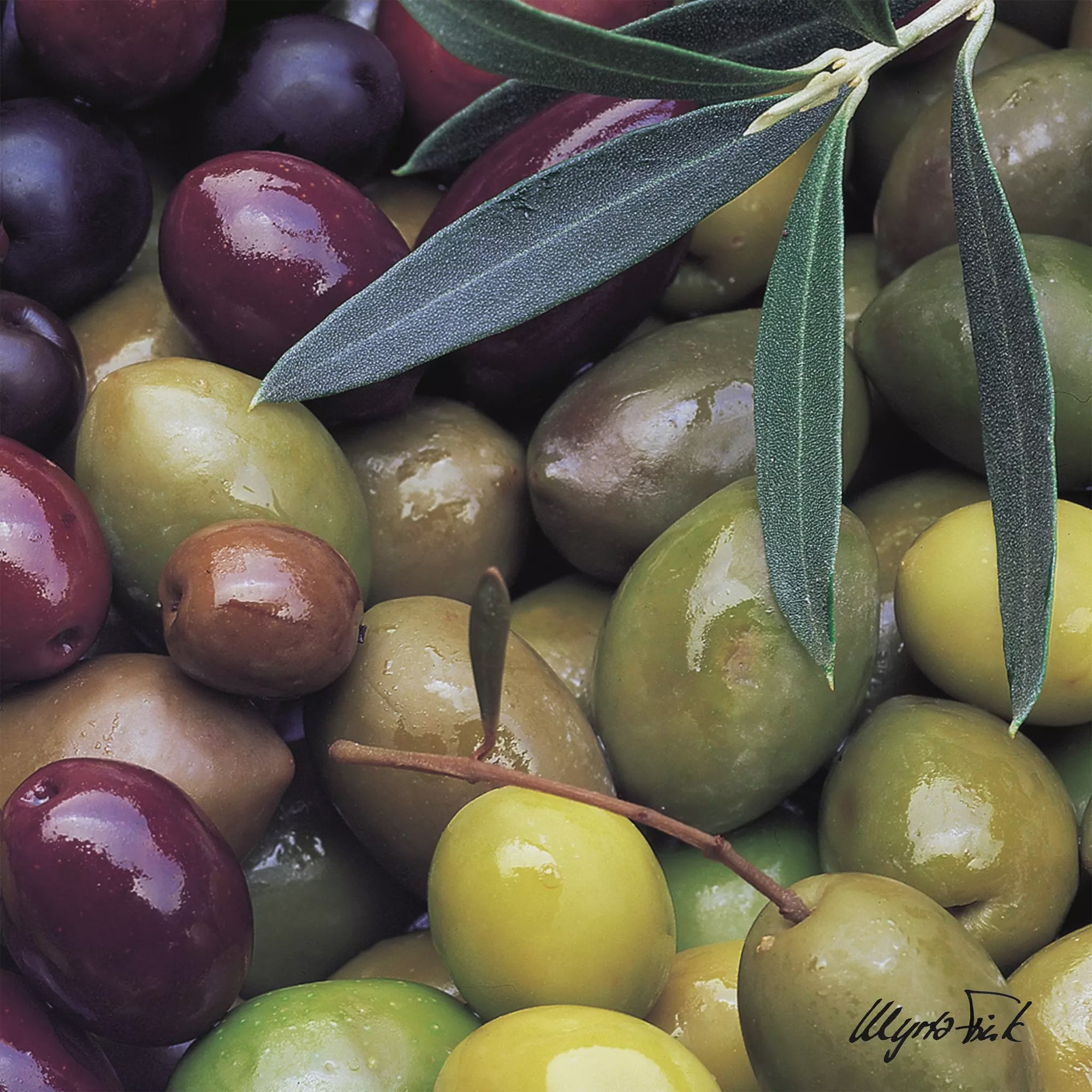 Mixed Olives Napkins, 33x33, 20 Ct.