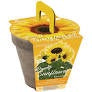 Dwarf Sunflower Complete Grow Kit